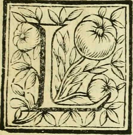 An illustration from Le vite de pittori, scoltori, et architetti genovesi : e de' forastieri, che in Genoua operarono : con alcuni ritratti de gli stessi, 1674, leaf 10