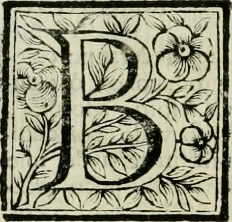 An illustration from Le vite de pittori, scoltori, et architetti genovesi : e de' forastieri, che in Genoua operarono : con alcuni ritratti de gli stessi, 1674, leaf 13