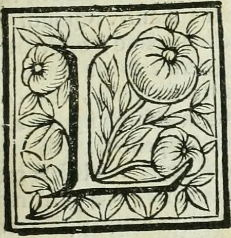 An illustration from Le vite de pittori, scoltori, et architetti genovesi : e de' forastieri, che in Genoua operarono : con alcuni ritratti de gli stessi, 1674, leaf 142