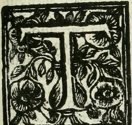 An illustration from Le vite de pittori, scoltori, et architetti genovesi : e de' forastieri, che in Genoua operarono : con alcuni ritratti de gli stessi, 1674, leaf 208