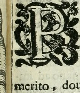 An illustration from Le vite de pittori, scoltori, et architetti genovesi : e de' forastieri, che in Genoua operarono : con alcuni ritratti de gli stessi, 1674, leaf 214