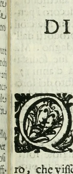 An illustration from Le vite de pittori, scoltori, et architetti genovesi : e de' forastieri, che in Genoua operarono : con alcuni ritratti de gli stessi, 1674, leaf 218
