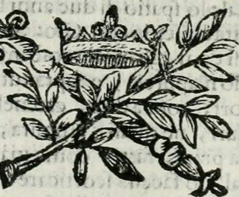 An illustration from Le vite de pittori, scoltori, et architetti genovesi : e de' forastieri, che in Genoua operarono : con alcuni ritratti de gli stessi, 1674, leaf 229