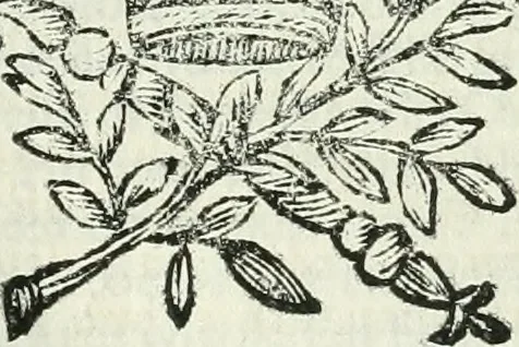 An illustration from Le vite de pittori, scoltori, et architetti genovesi : e de' forastieri, che in Genoua operarono : con alcuni ritratti de gli stessi, 1674, leaf 236