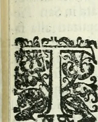 An illustration from Le vite de pittori, scoltori, et architetti genovesi : e de' forastieri, che in Genoua operarono : con alcuni ritratti de gli stessi, 1674, leaf 238