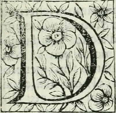 An illustration from Le vite de pittori, scoltori, et architetti genovesi : e de' forastieri, che in Genoua operarono : con alcuni ritratti de gli stessi, 1674, leaf 242