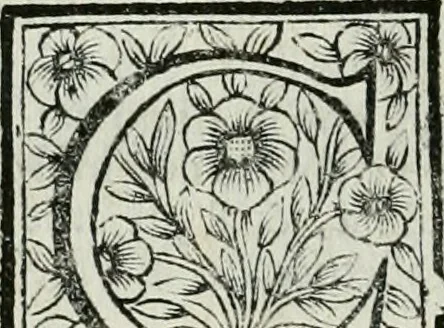 An illustration from Le vite de pittori, scoltori, et architetti genovesi : e de' forastieri, che in Genoua operarono : con alcuni ritratti de gli stessi, 1674, leaf 255