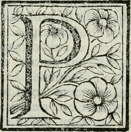 An illustration from Le vite de pittori, scoltori, et architetti genovesi : e de' forastieri, che in Genoua operarono : con alcuni ritratti de gli stessi, 1674, leaf 257