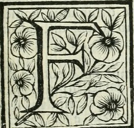 An illustration from Le vite de pittori, scoltori, et architetti genovesi : e de' forastieri, che in Genoua operarono : con alcuni ritratti de gli stessi, 1674, leaf 258