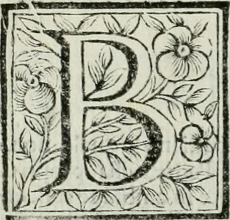 An illustration from Le vite de pittori, scoltori, et architetti genovesi : e de' forastieri, che in Genoua operarono : con alcuni ritratti de gli stessi, 1674, leaf 259