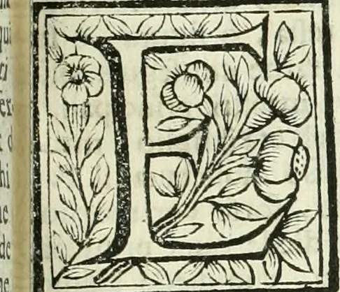 An illustration from Le vite de pittori, scoltori, et architetti genovesi : e de' forastieri, che in Genoua operarono : con alcuni ritratti de gli stessi, 1674, leaf 264