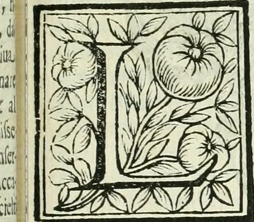 An illustration from Le vite de pittori, scoltori, et architetti genovesi : e de' forastieri, che in Genoua operarono : con alcuni ritratti de gli stessi, 1674, leaf 266