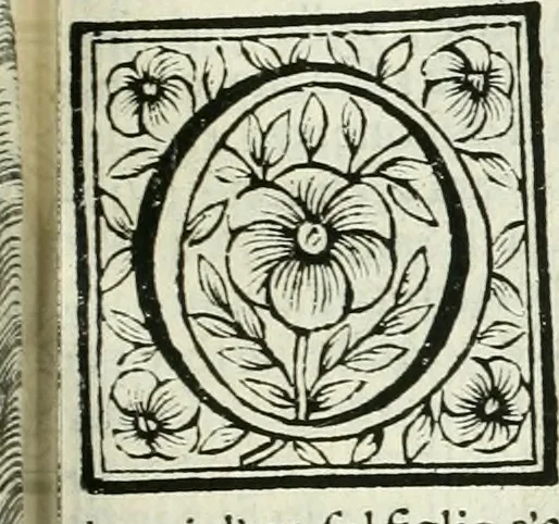 An illustration from Le vite de pittori, scoltori, et architetti genovesi : e de' forastieri, che in Genoua operarono : con alcuni ritratti de gli stessi, 1674, leaf 274