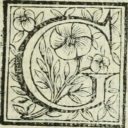 An illustration from Le vite de pittori, scoltori, et architetti genovesi : e de' forastieri, che in Genoua operarono : con alcuni ritratti de gli stessi, 1674, leaf 34