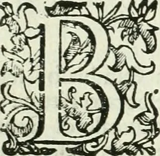 An illustration from Le vite de pittori, scoltori, et architetti genovesi : e de' forastieri, che in Genoua operarono : con alcuni ritratti de gli stessi, 1674, leaf 348