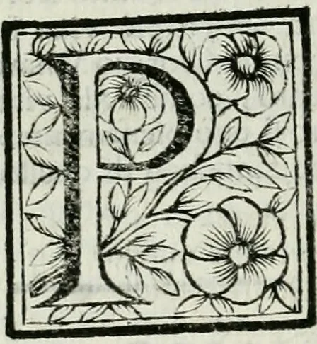 An illustration from Le vite de pittori, scoltori, et architetti genovesi : e de' forastieri, che in Genoua operarono : con alcuni ritratti de gli stessi, 1674, leaf 357