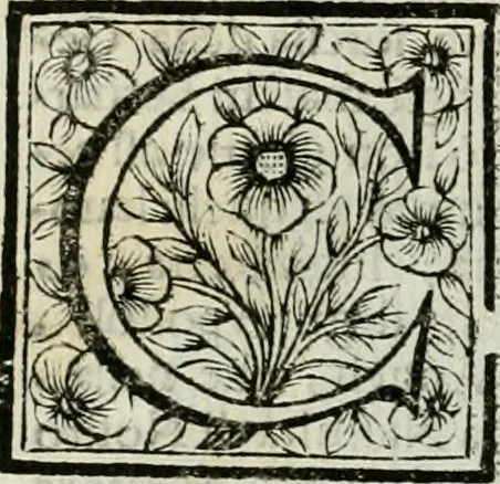 An illustration from Le vite de pittori, scoltori, et architetti genovesi : e de' forastieri, che in Genoua operarono : con alcuni ritratti de gli stessi, 1674, leaf 383