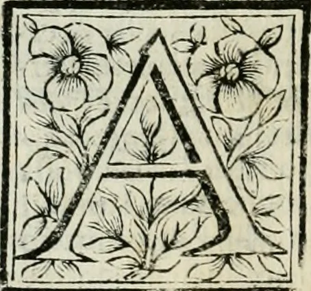 An illustration from Le vite de pittori, scoltori, et architetti genovesi : e de' forastieri, che in Genoua operarono : con alcuni ritratti de gli stessi, 1674, leaf 409