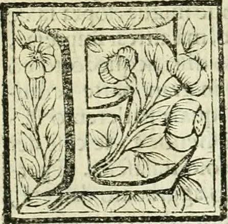An illustration from Le vite de pittori, scoltori, et architetti genovesi : e de' forastieri, che in Genoua operarono : con alcuni ritratti de gli stessi, 1674, leaf 418