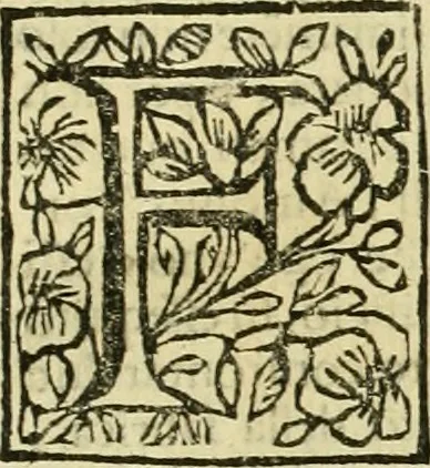 An illustration from Le vite de pittori, scoltori, et architetti genovesi : e de' forastieri, che in Genoua operarono : con alcuni ritratti de gli stessi, 1674, leaf 420