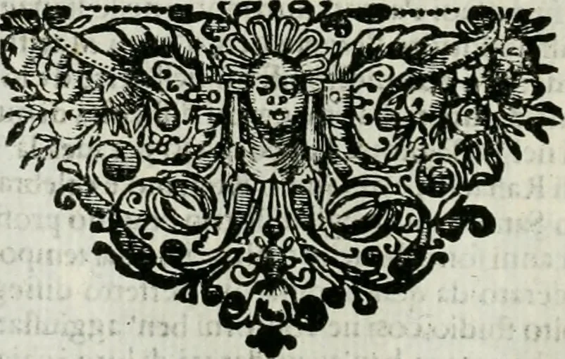 An illustration from Le vite de pittori, scoltori, et architetti genovesi : e de' forastieri, che in Genoua operarono : con alcuni ritratti de gli stessi, 1674, leaf 73