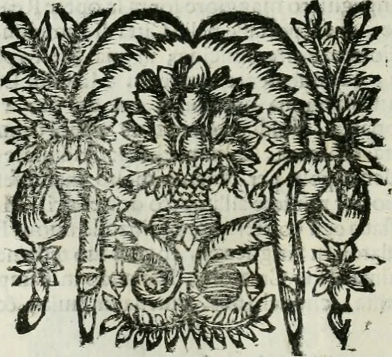 An illustration from Le vite de pittori, scoltori, et architetti genovesi : e de' forastieri, che in Genoua operarono : con alcuni ritratti de gli stessi, 1674, leaf 99