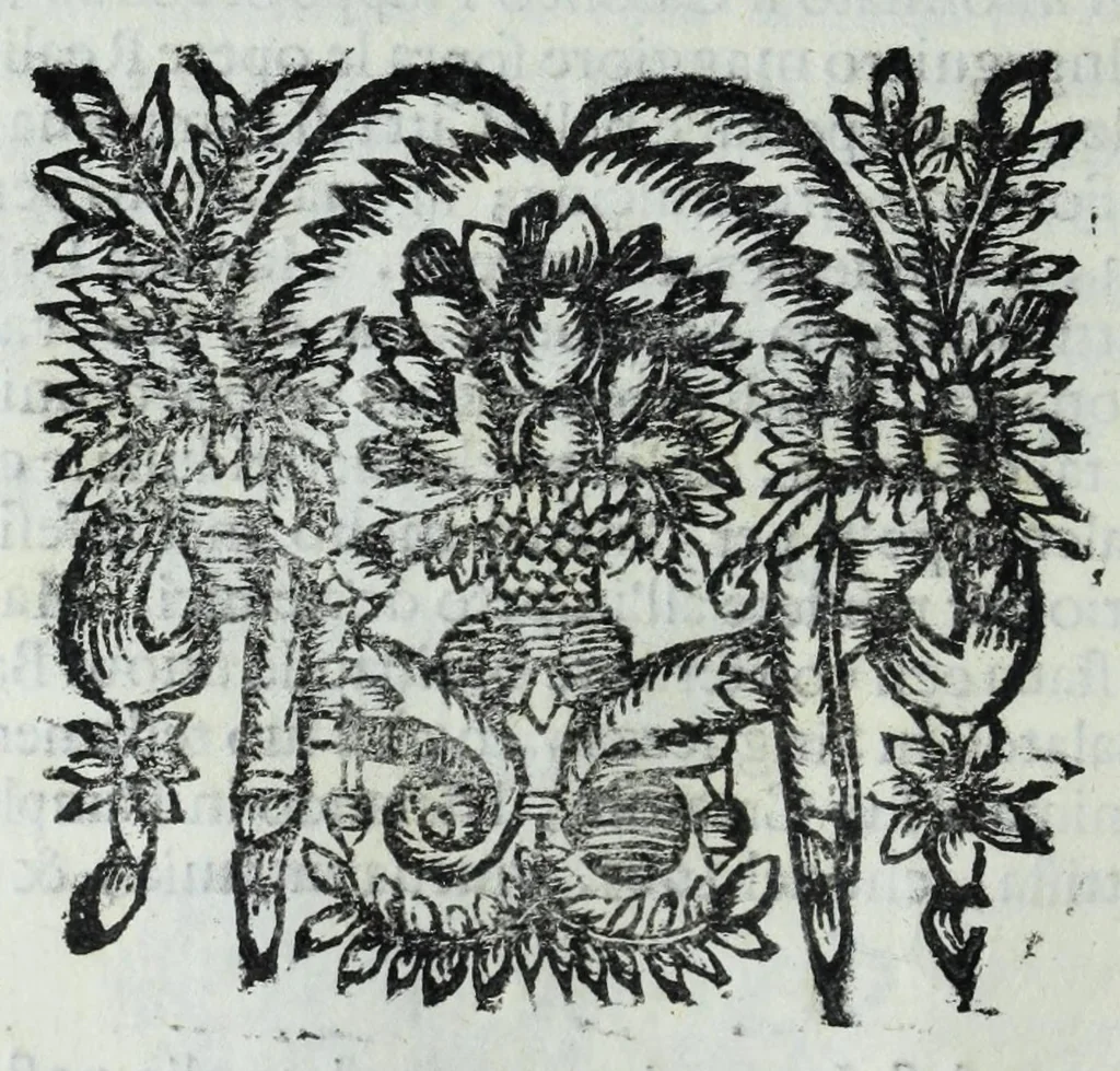 An illustration from Le uite de pittori, scoltori, et architetti genouesi e de' forastieri, che in Genoua operarono con alcun ritratti de gli stessi, 1674, leaf 100