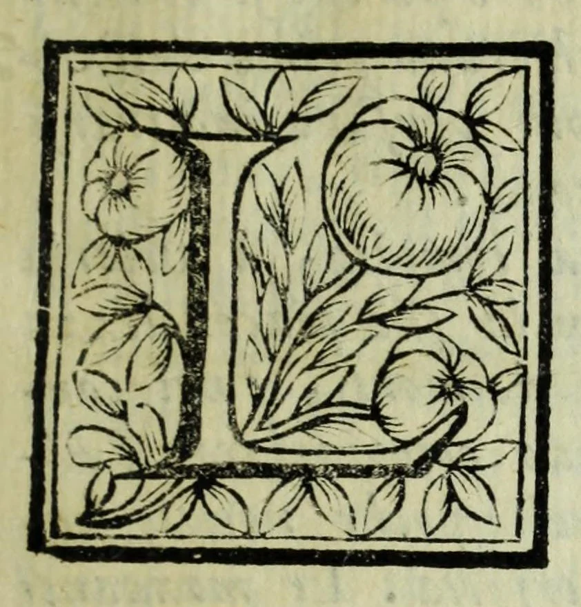 An illustration from Le uite de pittori, scoltori, et architetti genouesi e de' forastieri, che in Genoua operarono con alcun ritratti de gli stessi, 1674, leaf 11