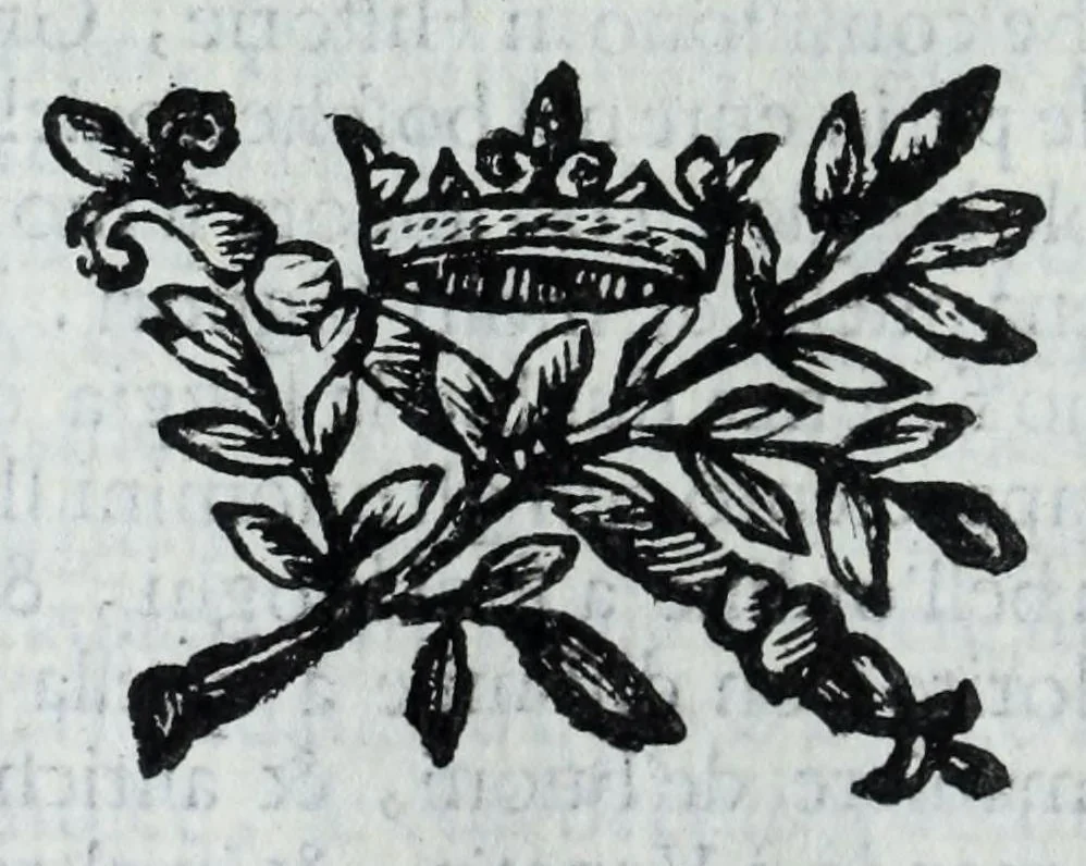 An illustration from Le uite de pittori, scoltori, et architetti genouesi e de' forastieri, che in Genoua operarono con alcun ritratti de gli stessi, 1674, leaf 124