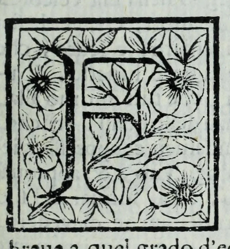 An illustration from Le uite de pittori, scoltori, et architetti genouesi e de' forastieri, che in Genoua operarono con alcun ritratti de gli stessi, 1674, leaf 225