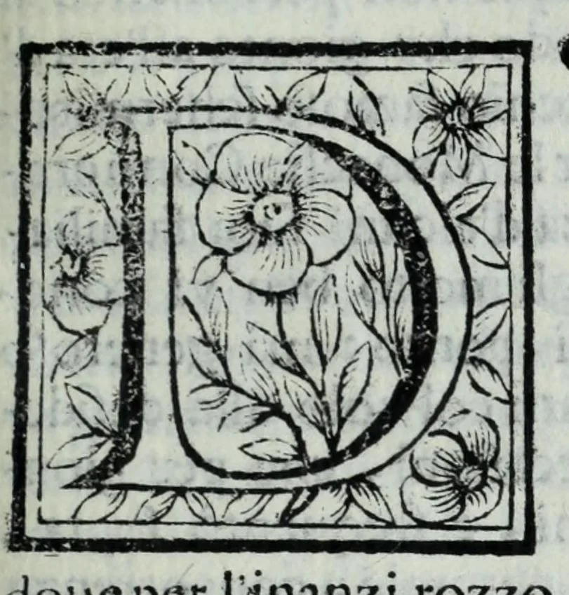 An illustration from Le uite de pittori, scoltori, et architetti genouesi e de' forastieri, che in Genoua operarono con alcun ritratti de gli stessi, 1674, leaf 243