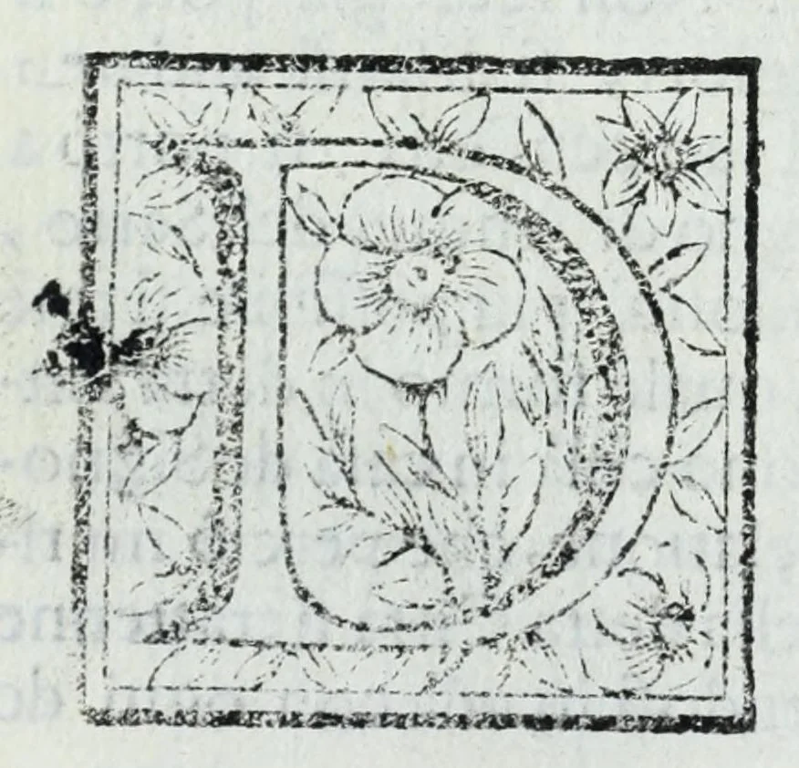 An illustration from Le uite de pittori, scoltori, et architetti genouesi e de' forastieri, che in Genoua operarono con alcun ritratti de gli stessi, 1674, leaf 270