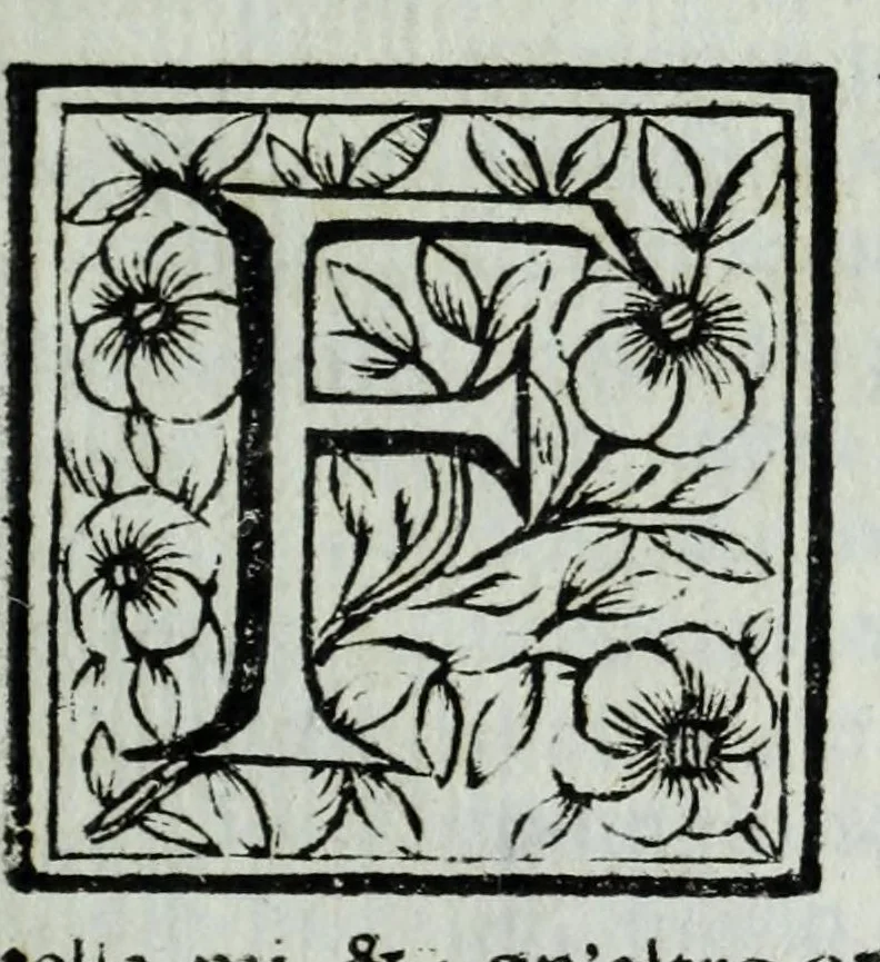 An illustration from Le uite de pittori, scoltori, et architetti genouesi e de' forastieri, che in Genoua operarono con alcun ritratti de gli stessi, 1674, leaf 291