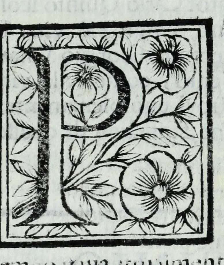 An illustration from Le uite de pittori, scoltori, et architetti genouesi e de' forastieri, che in Genoua operarono con alcun ritratti de gli stessi, 1674, leaf 358