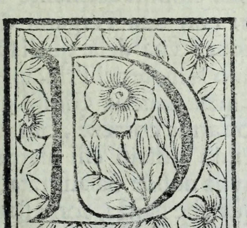 An illustration from Le uite de pittori, scoltori, et architetti genouesi e de' forastieri, che in Genoua operarono con alcun ritratti de gli stessi, 1674, leaf 361