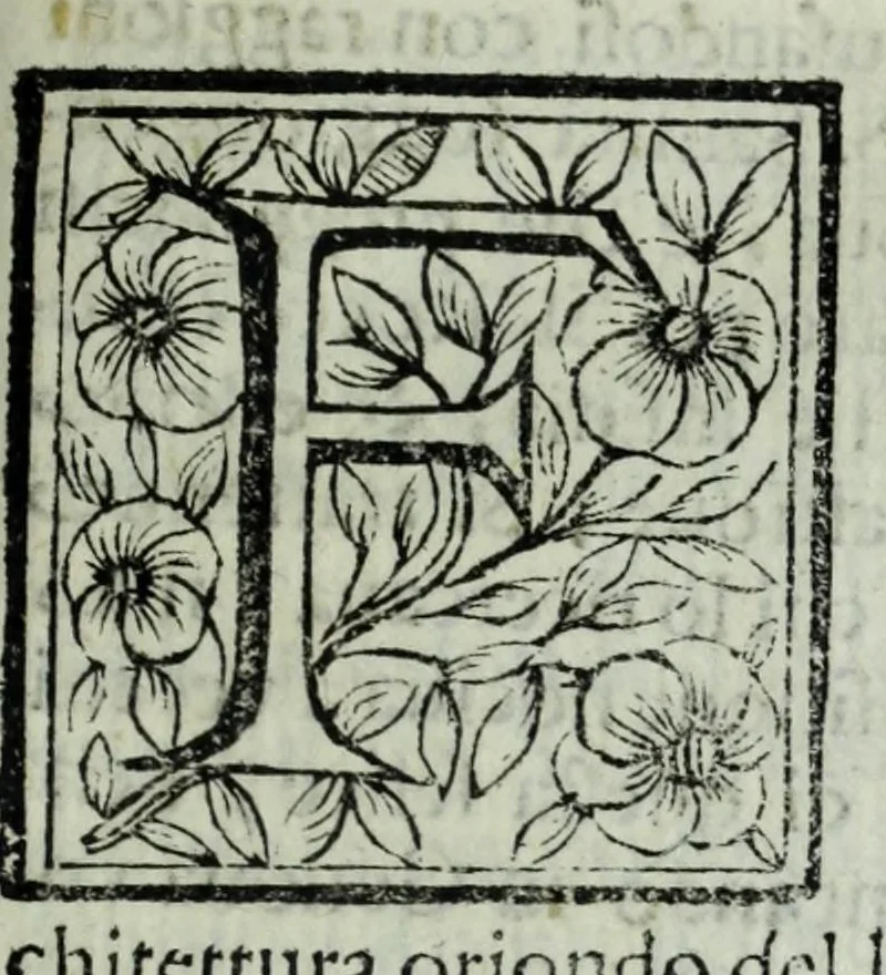 An illustration from Le uite de pittori, scoltori, et architetti genouesi e de' forastieri, che in Genoua operarono con alcun ritratti de gli stessi, 1674, leaf 369