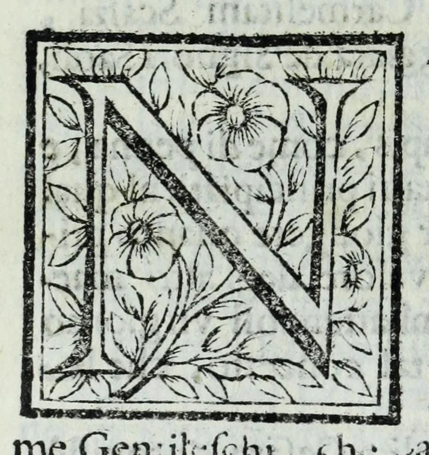 An illustration from Le uite de pittori, scoltori, et architetti genouesi e de' forastieri, che in Genoua operarono con alcun ritratti de gli stessi, 1674, leaf 402