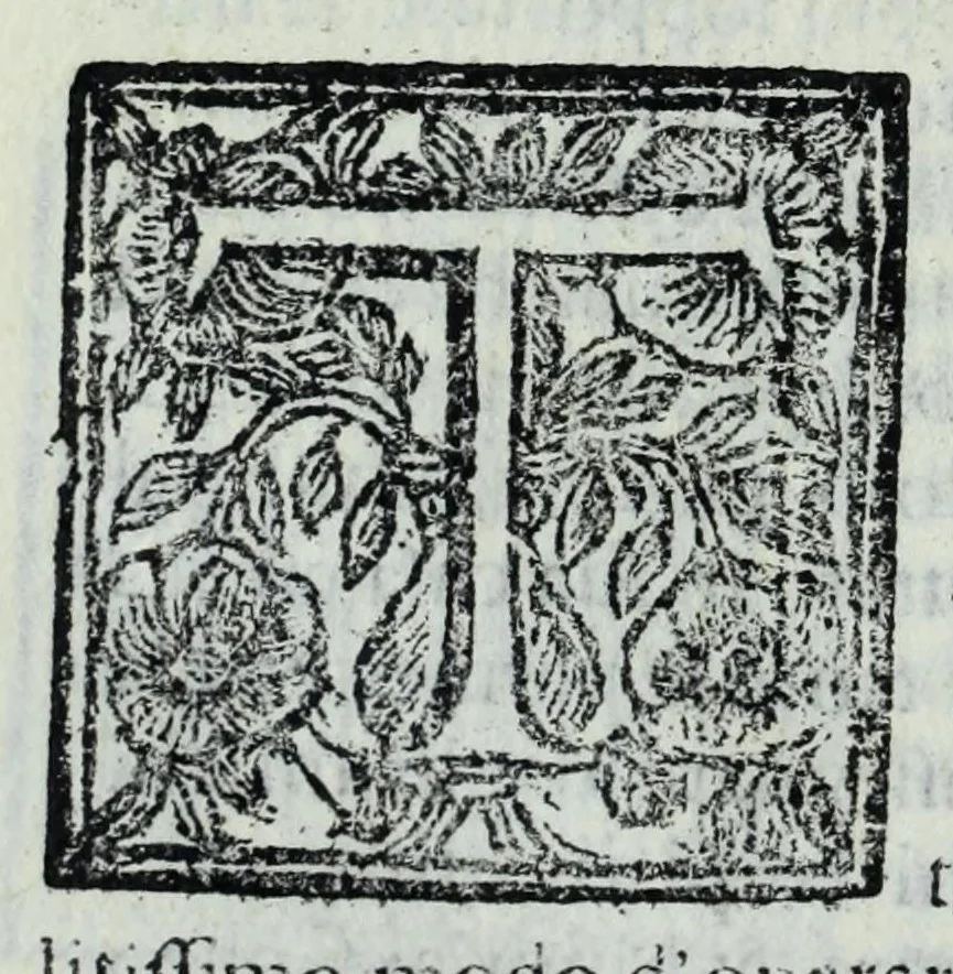 An illustration from Le uite de pittori, scoltori, et architetti genouesi e de' forastieri, che in Genoua operarono con alcun ritratti de gli stessi, 1674, leaf 406