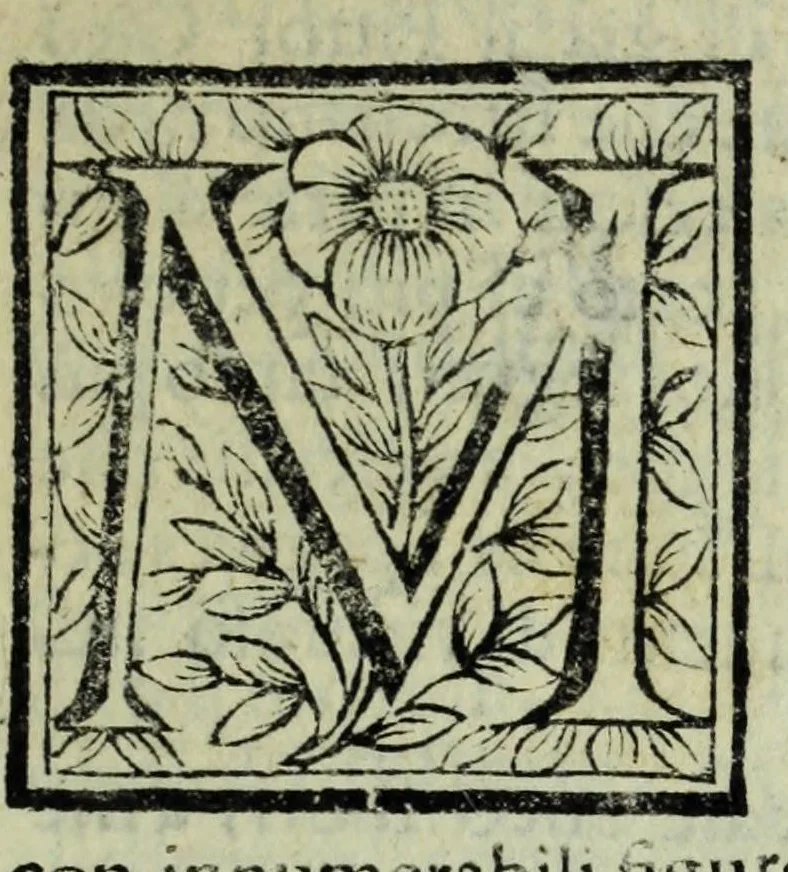 An illustration from Le uite de pittori, scoltori, et architetti genouesi e de' forastieri, che in Genoua operarono con alcun ritratti de gli stessi, 1674, leaf 411