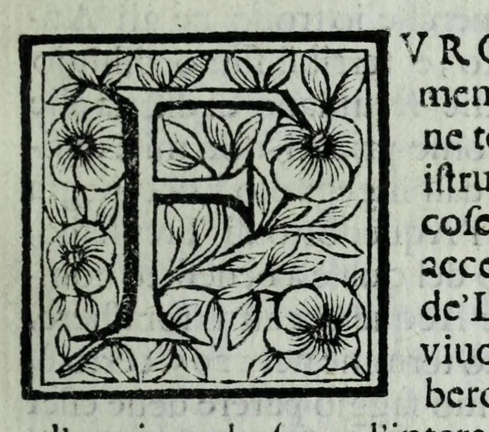 An illustration from Le uite de pittori, scoltori, et architetti genouesi e de' forastieri, che in Genoua operarono con alcun ritratti de gli stessi, 1674, leaf 43