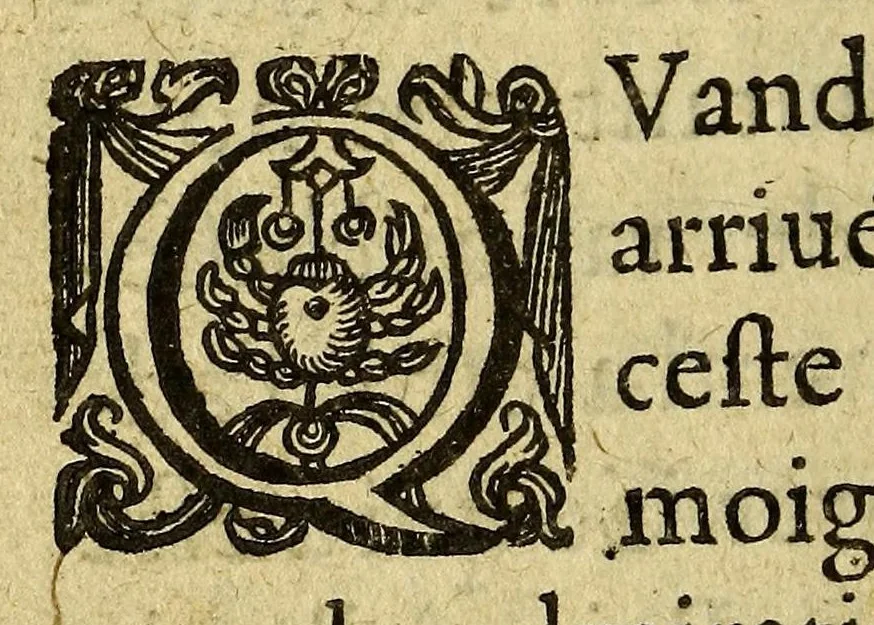 An illustration from Le voyage de l'illustre seigneur et cheualier François Drach admiral d'Angleterre, alentour du monde, 1613, leaf 66