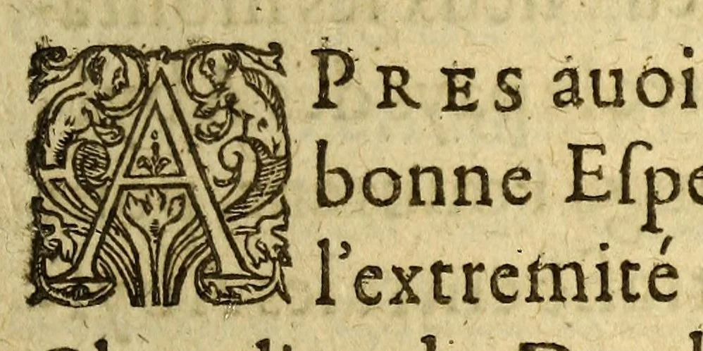 An illustration from Le voyage de l'illustre seigneur et cheualier François Drach, admiral d'Angleterre, à l'entour du monde, 1627, leaf 95