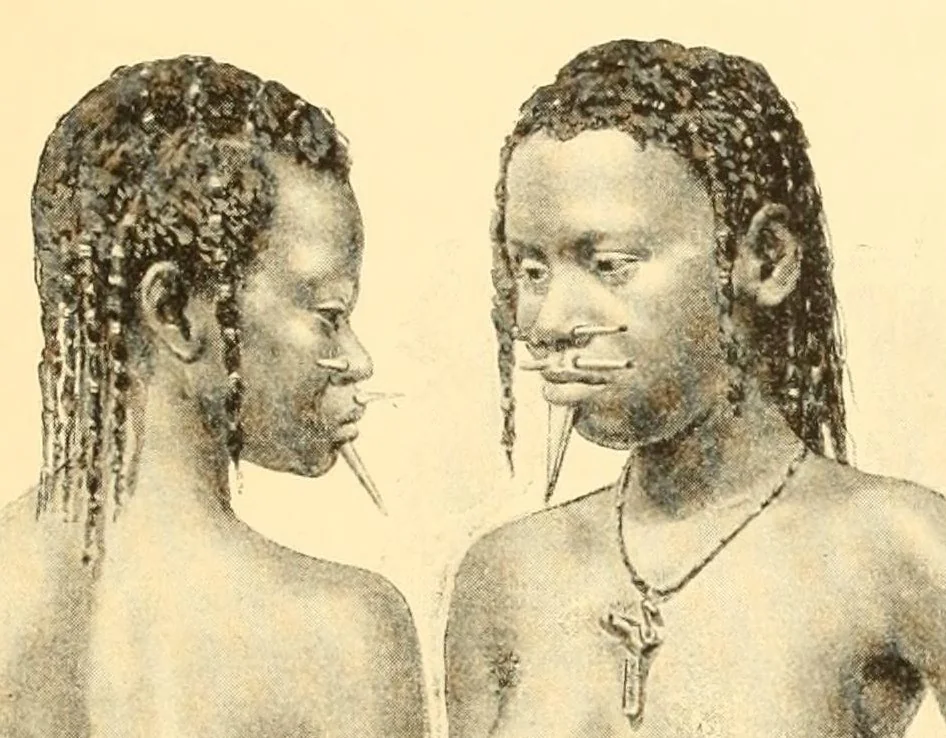 An illustration from Le voyage de mon fils au Congo, 1894, leaf 251
