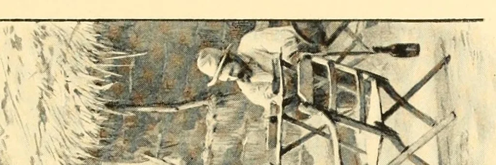 An illustration from Le voyage de mon fils au Congo, 1894, leaf 71