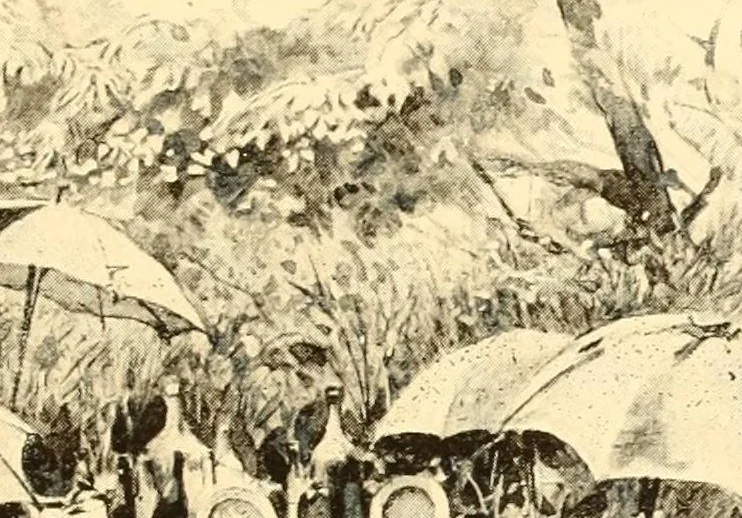 An illustration from Le voyage de mon fils au Congo, 1894, leaf 91