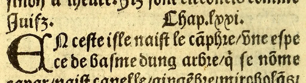 An illustration from Le voyage et nauigation, faict par les Espaignolz es Isles de Mollucques. Des isles quilz ont trouue audict voyage, des roys dicelles, de leur gouuernement & maniere de viure, auec plusiers aultres choses, 1525, leaf 108