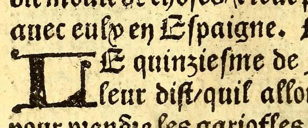 An illustration from Le voyage et nauigation, faict par les Espaignolz es Isles de Mollucques. Des isles quilz ont trouue audict voyage, des roys dicelles, de leur gouuernement & maniere de viure, auec plusiers aultres choses, 1525, leaf 126