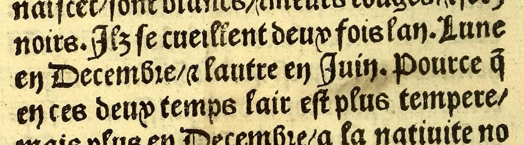 An illustration from Le voyage et nauigation, faict par les Espaignolz es Isles de Mollucques. Des isles quilz ont trouue audict voyage, des roys dicelles, de leur gouuernement & maniere de viure, auec plusiers aultres choses, 1525, leaf 128