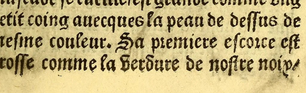 An illustration from Le voyage et nauigation, faict par les Espaignolz es Isles de Mollucques. Des isles quilz ont trouue audict voyage, des roys dicelles, de leur gouuernement & maniere de viure, auec plusiers aultres choses, 1525, leaf 129