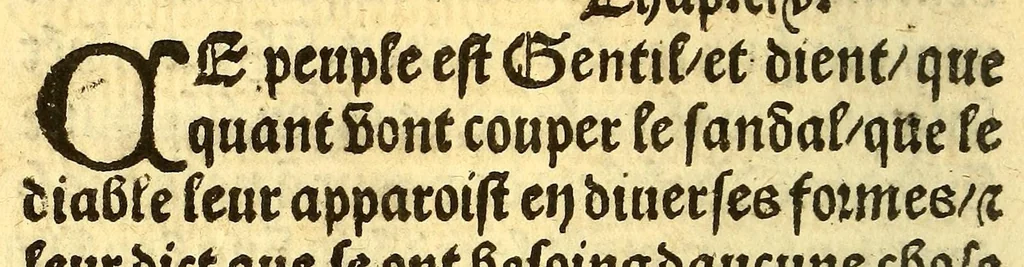 An illustration from Le voyage et nauigation, faict par les Espaignolz es Isles de Mollucques. Des isles quilz ont trouue audict voyage, des roys dicelles, de leur gouuernement & maniere de viure, auec plusiers aultres choses, 1525, leaf 146